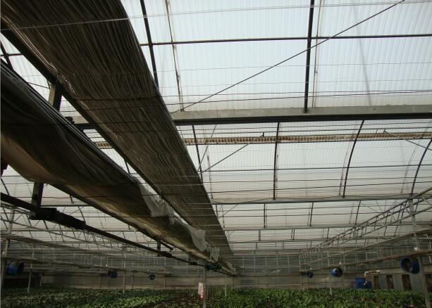 遼陽市花卉溫室大棚工程91香蕉视频在线观看陽光板